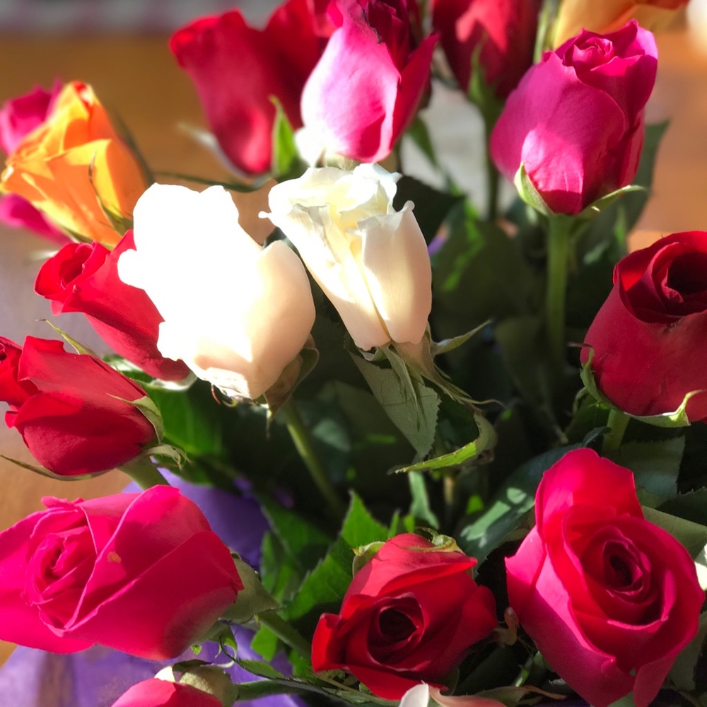 Meet your Posher, Mary